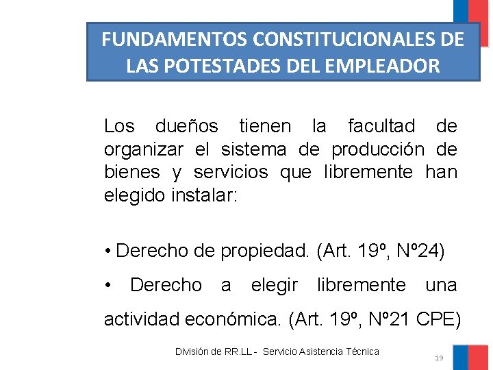 FUNDAMENTOS CONSTITUCIONALES DE LAS POTESTADES DEL EMPLEADOR Los dueños tienen la facultad de organizar