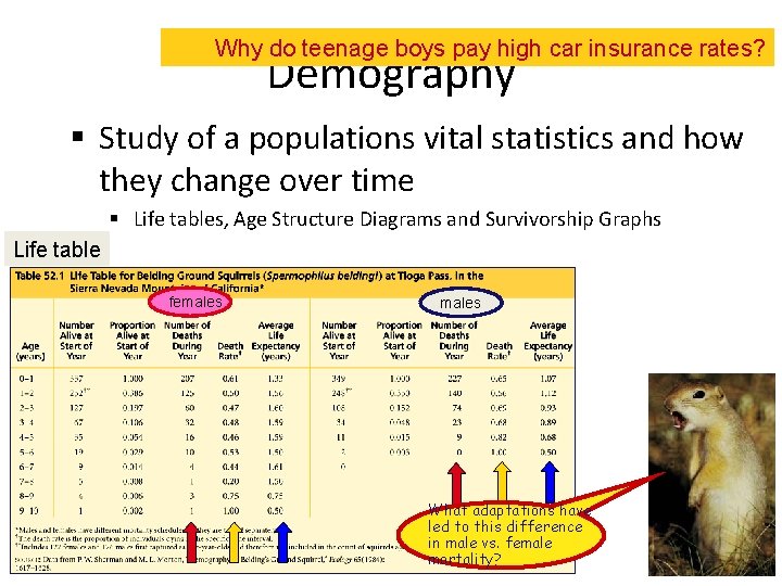 Why do teenage boys pay high car insurance rates? Demography § Study of a