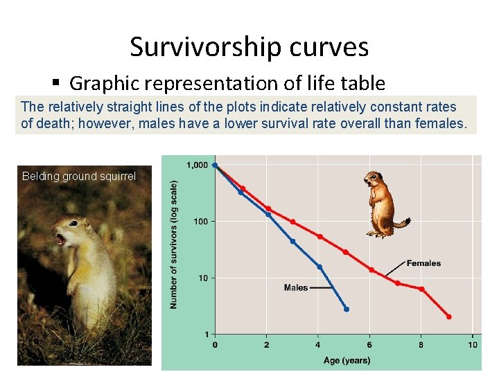 Survivorship curves § Graphic representation of life table The relatively straight lines of the