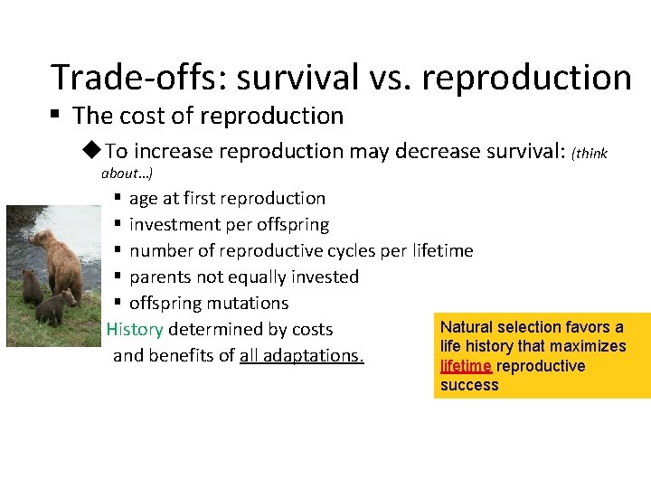 Trade-offs: survival vs. reproduction § The cost of reproduction u. To increase reproduction may