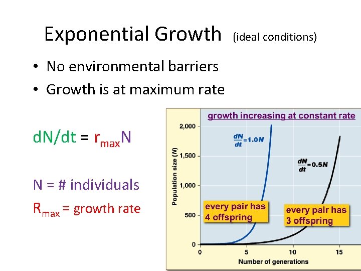 Exponential Growth • No environmental barriers • Growth is at maximum rate d. N/dt