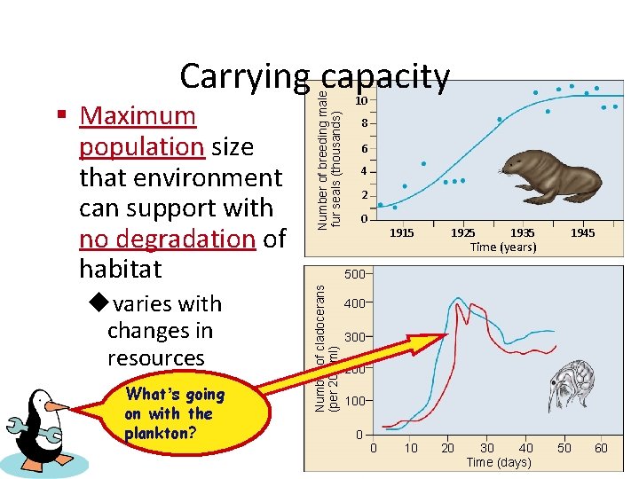 uvaries with changes in resources What’s going on with the plankton? 10 8 6