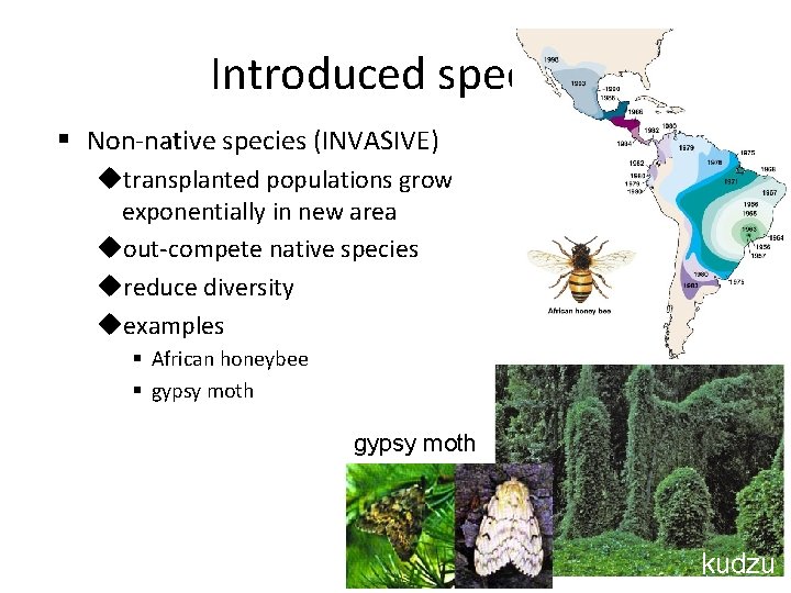 Introduced species § Non-native species (INVASIVE) utransplanted populations grow exponentially in new area uout-compete
