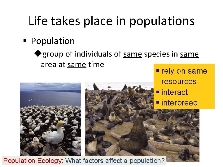 Life takes place in populations § Population ugroup of individuals of same species in