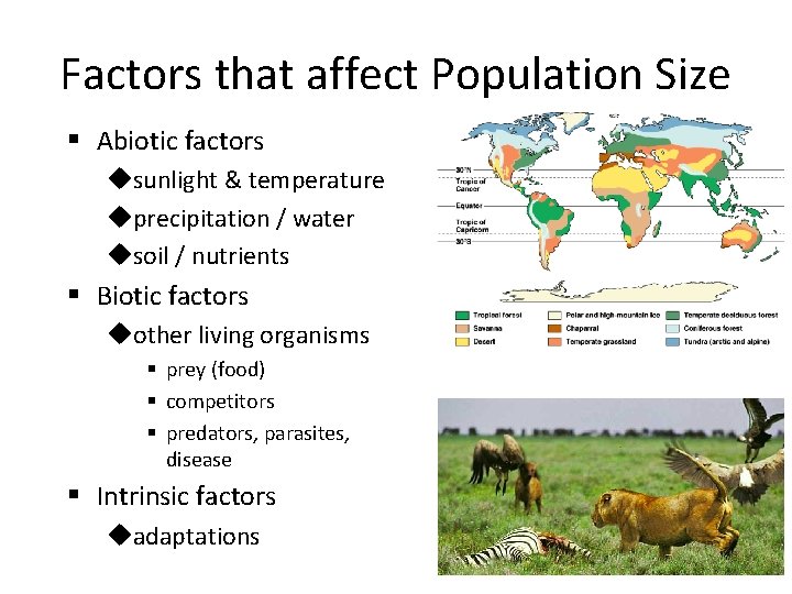 Factors that affect Population Size § Abiotic factors usunlight & temperature uprecipitation / water
