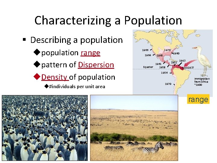 Characterizing a Population § Describing a population upopulation range upattern of Dispersion u. Density