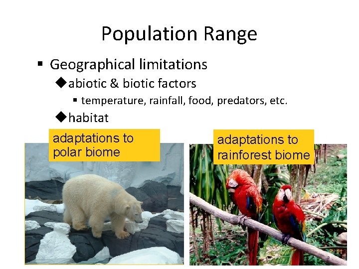 Population Range § Geographical limitations uabiotic & biotic factors § temperature, rainfall, food, predators,