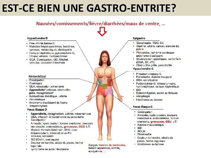 EST-CE BIEN UNE GASTRO-ENTRITE? Nausées/vomissements/fièvre/diarrhées/maux de ventre, … 