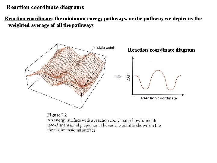Reaction coordinate diagrams Reaction coordinate: the minimum energy pathways, or the pathway we depict