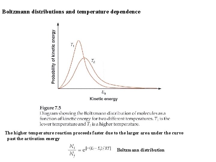 Boltzmann distributions and temperature dependence The higher temperature reaction proceeds faster due to the
