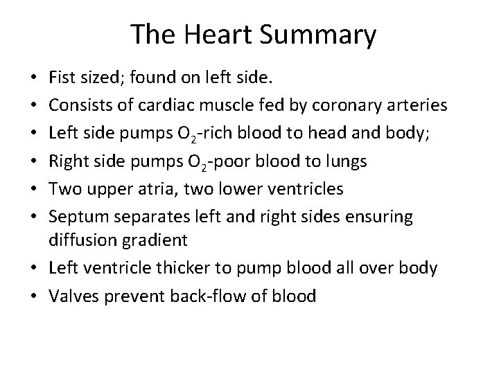 The Heart Summary Fist sized; found on left side. Consists of cardiac muscle fed