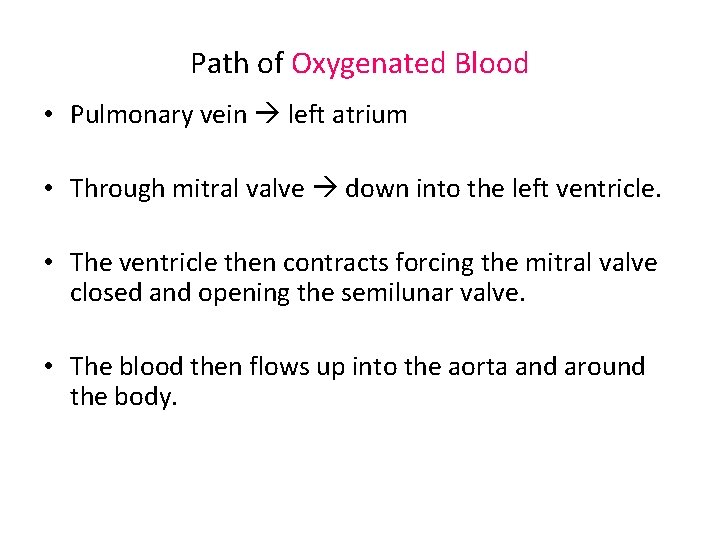 Path of Oxygenated Blood • Pulmonary vein left atrium • Through mitral valve down