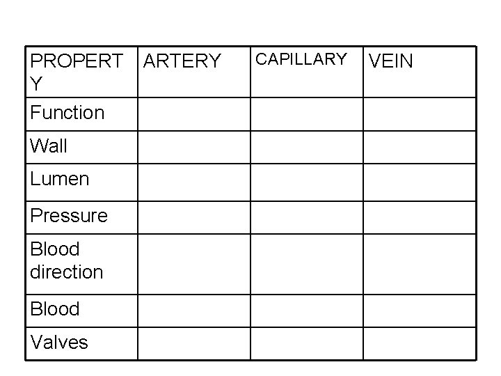 PROPERT ARTERY Y Function Wall Lumen Pressure Blood direction Blood Valves CAPILLARY VEIN 