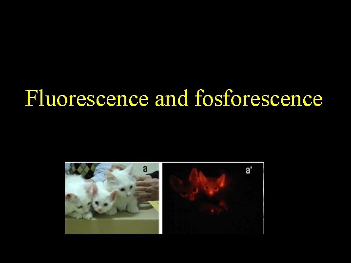 Fluorescence and fosforescence 