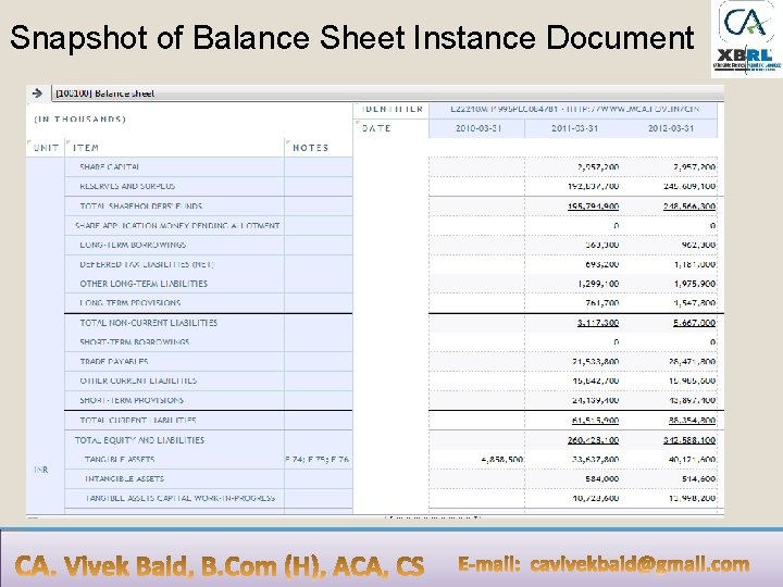 Snapshot of Balance Sheet Instance Document 