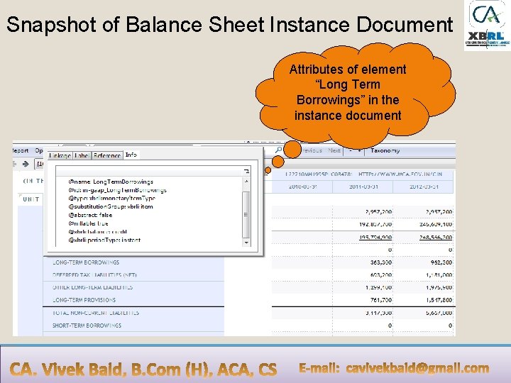 Snapshot of Balance Sheet Instance Document Attributes of element “Long Term Borrowings” in the