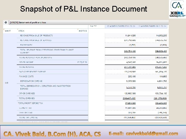 Snapshot of P&L Instance Document 