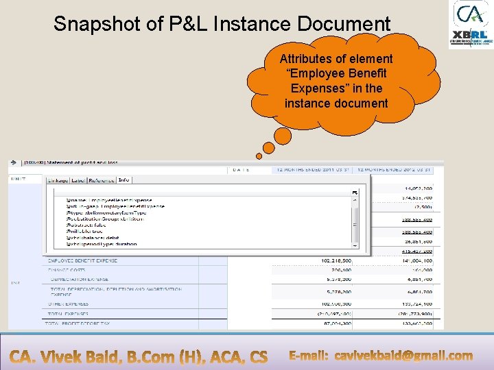 Snapshot of P&L Instance Document Attributes of element “Employee Benefit Expenses” in the instance