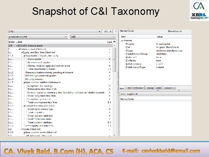 Snapshot of C&I Taxonomy 