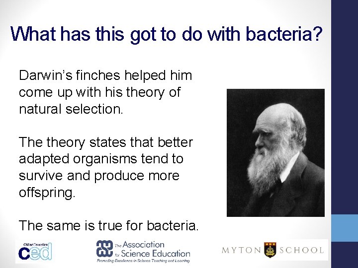 What has this got to do with bacteria? Darwin’s finches helped him come up What has this got to do with bacteria? Darwin’s finches helped him come up