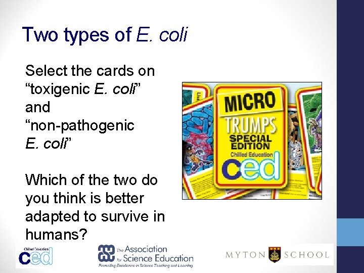 Two types of E. coli Select the cards on “toxigenic E. coli” and “non-pathogenic Two types of E. coli Select the cards on “toxigenic E. coli” and “non-pathogenic