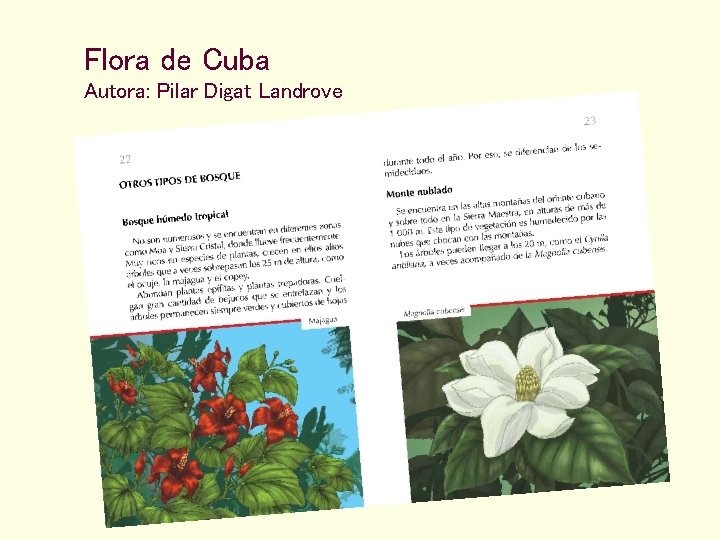 Flora de Cuba Autora: Pilar Digat Landrove 