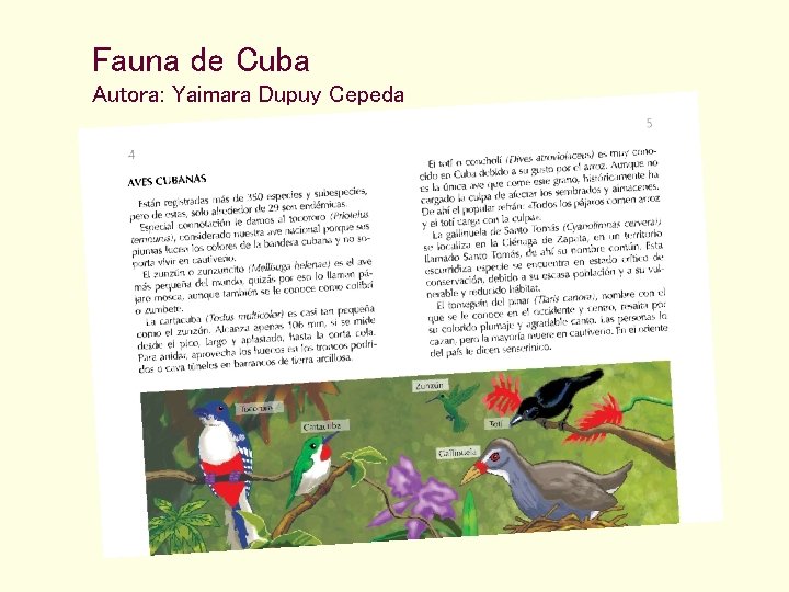 Fauna de Cuba Autora: Yaimara Dupuy Cepeda 