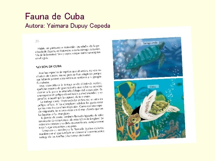 Fauna de Cuba Autora: Yaimara Dupuy Cepeda 