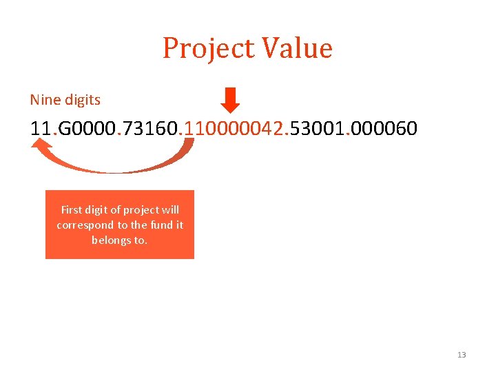 Project Value Nine digits 11. G 0000. 73160. 110000042. 53001. 000060 First digit of