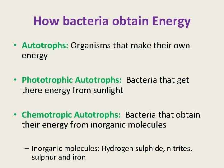 How bacteria obtain Energy • Autotrophs: Organisms that make their own energy • Phototrophic