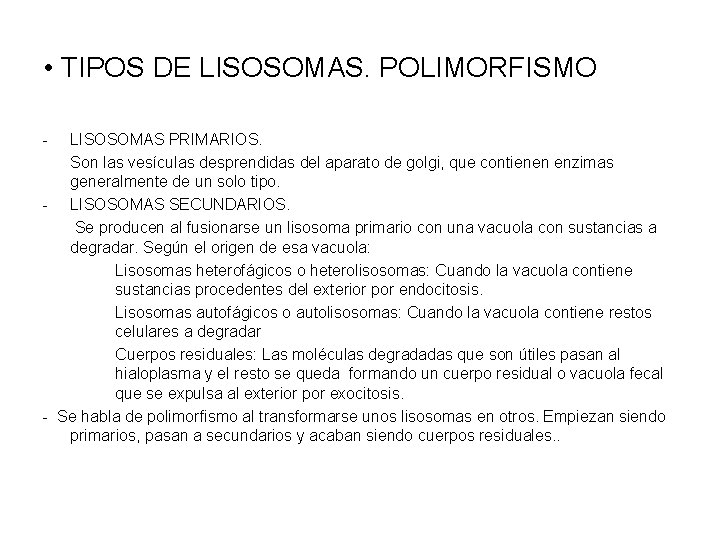  • TIPOS DE LISOSOMAS. POLIMORFISMO - LISOSOMAS PRIMARIOS. Son las vesículas desprendidas del