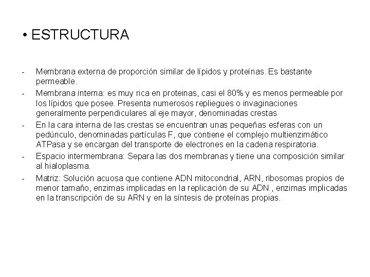  • ESTRUCTURA - - - Membrana externa de proporción similar de lípidos y