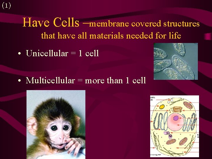 (1) Have Cells –membrane covered structures that have all materials needed for life •