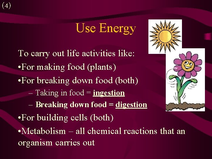 (4) Use Energy To carry out life activities like: • For making food (plants)