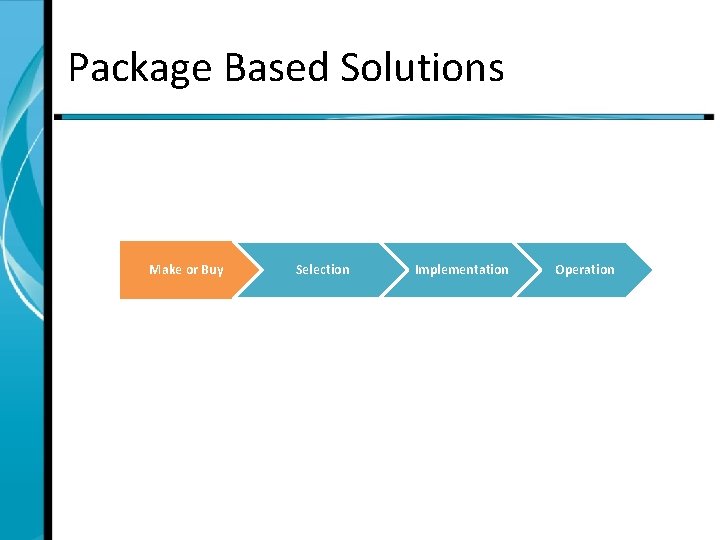 Package Based Solutions Make or Buy Selection Implementation Operation 