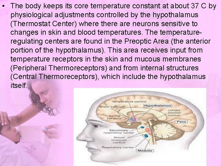  • The body keeps its core temperature constant at about 37 C by