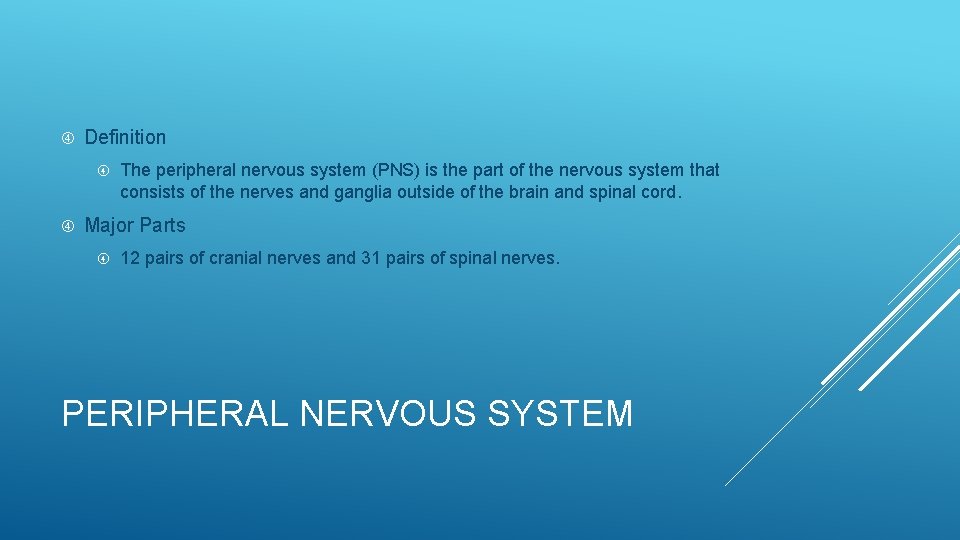  Definition The peripheral nervous system (PNS) is the part of the nervous system