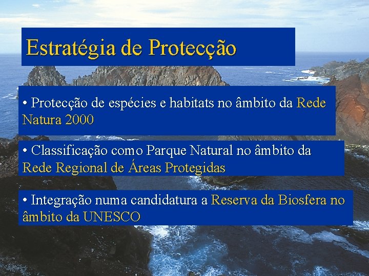 Estratégia de Protecção • Protecção de espécies e habitats no âmbito da Rede Natura