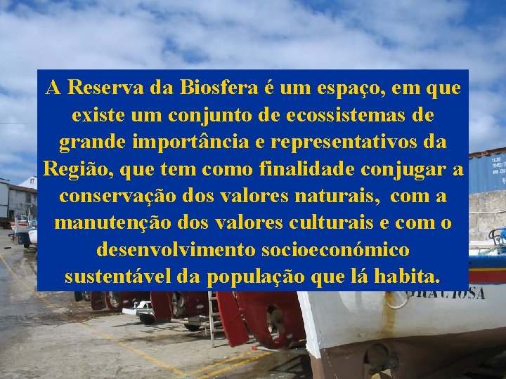 A Reserva da Biosfera é um espaço, em que existe um conjunto de ecossistemas