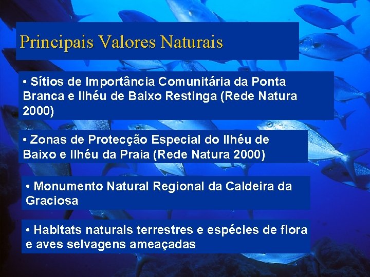 Principais Valores Naturais • Sítios de Importância Comunitária da Ponta Branca e Ilhéu de