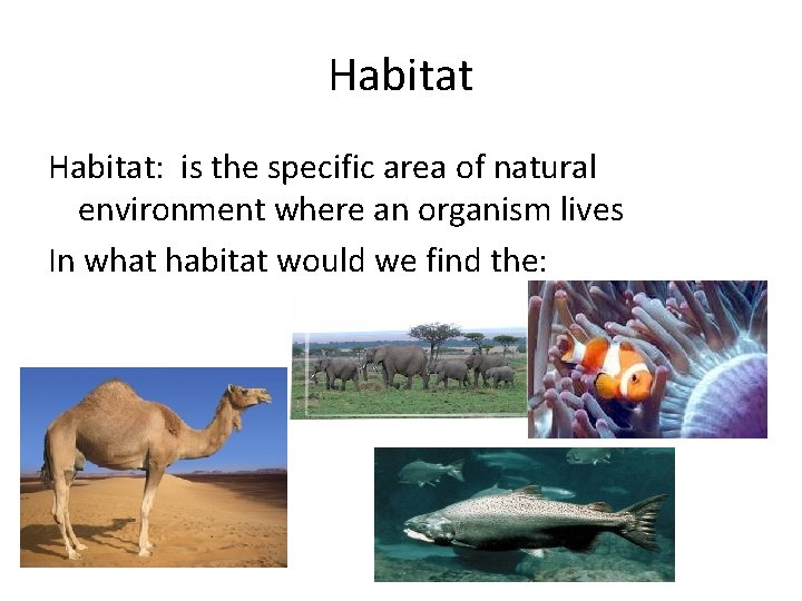 Habitat: is the specific area of natural environment where an organism lives In what