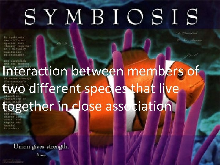 Interaction between members of two different species that live together in close association 