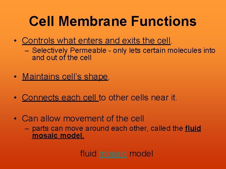 Cell Membrane Functions • Controls what enters and exits the cell. – Selectively Permeable