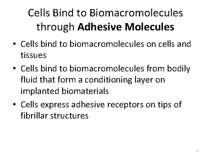 Cells Bind to Biomacromolecules through Adhesive Molecules • Cells bind to biomacromolecules on cells