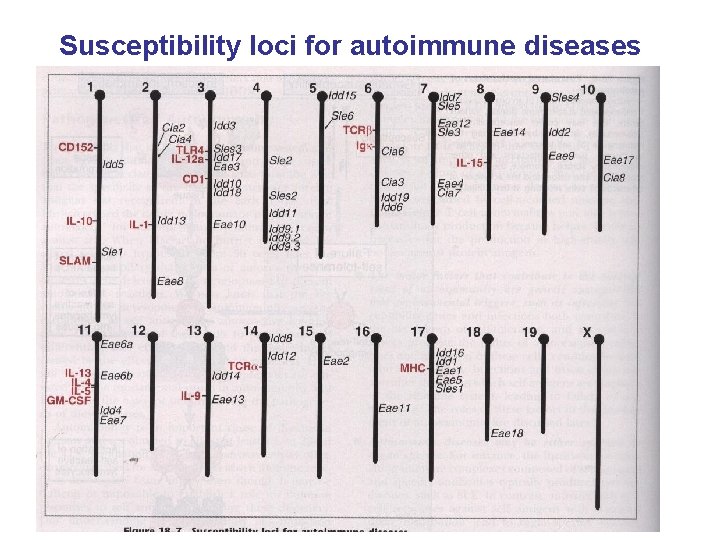Susceptibility loci for autoimmune diseases 