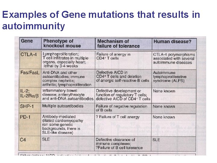 Examples of Gene mutations that results in autoimmunity 