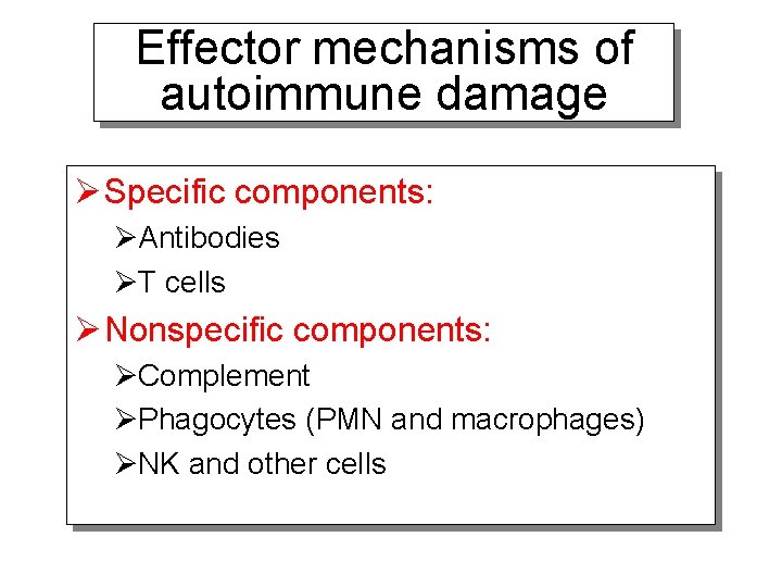 Effector mechanisms of autoimmune damage Ø Specific components: ØAntibodies ØT cells Ø Nonspecific components: