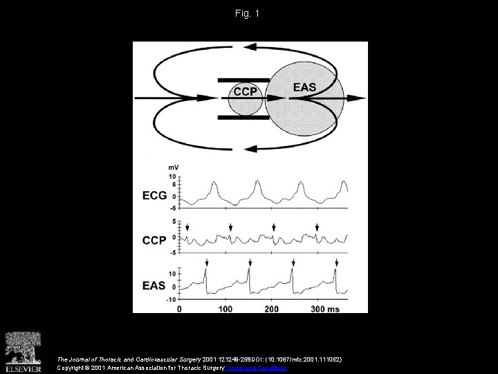 Fig. 1 The Journal of Thoracic and Cardiovascular Surgery 2001 121249 -258 DOI: (10.