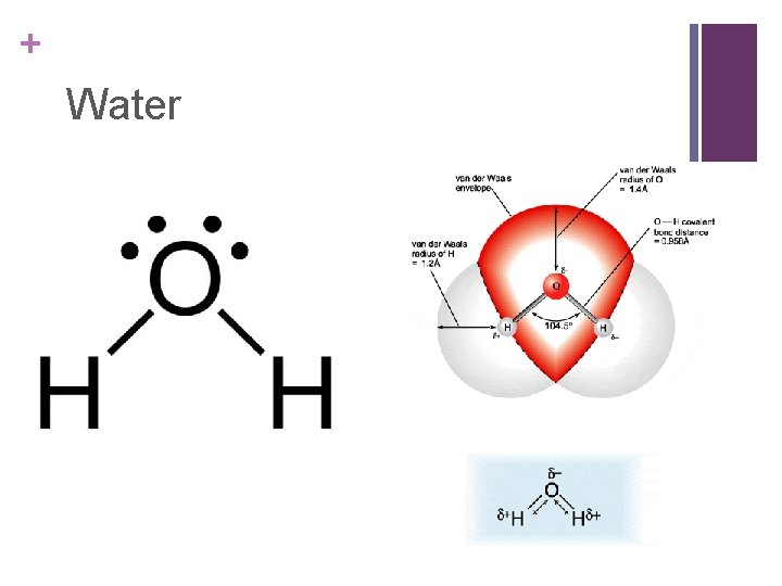 + Water 