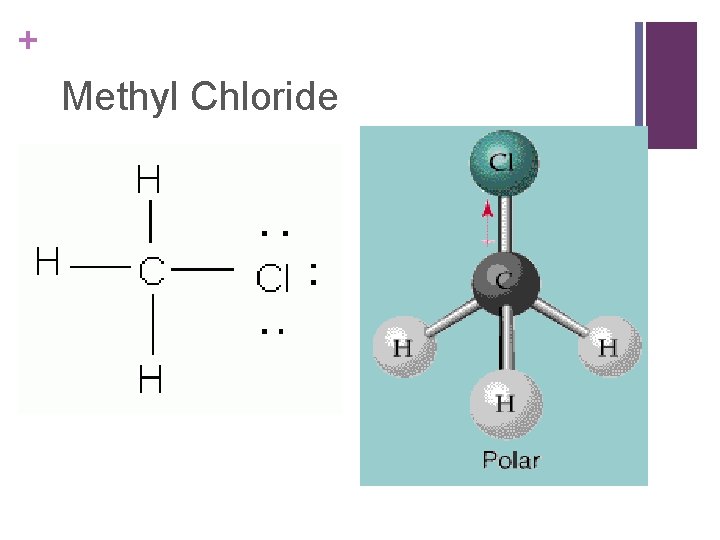 + Methyl Chloride 